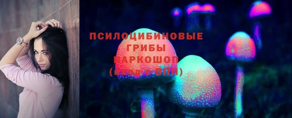 ECSTASY Алексин