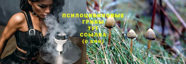 ECSTASY Алексин