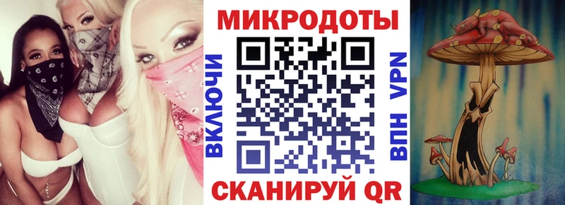 Псилоцибиновые грибы прущие грибы  Чернушка 