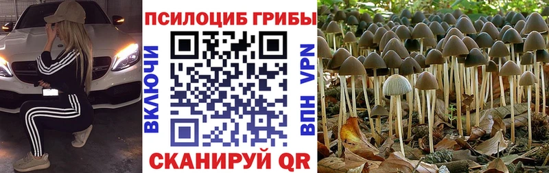 Галлюциногенные грибы мицелий Чернушка