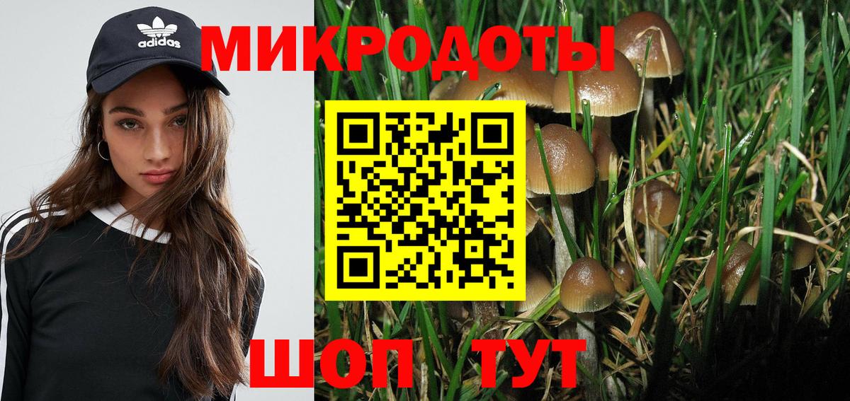 Чернушка  Галлюциногенные грибы Psilocybe  Галлюциногенные грибы MAGIC MUSHROOMS  Вход с VPN 