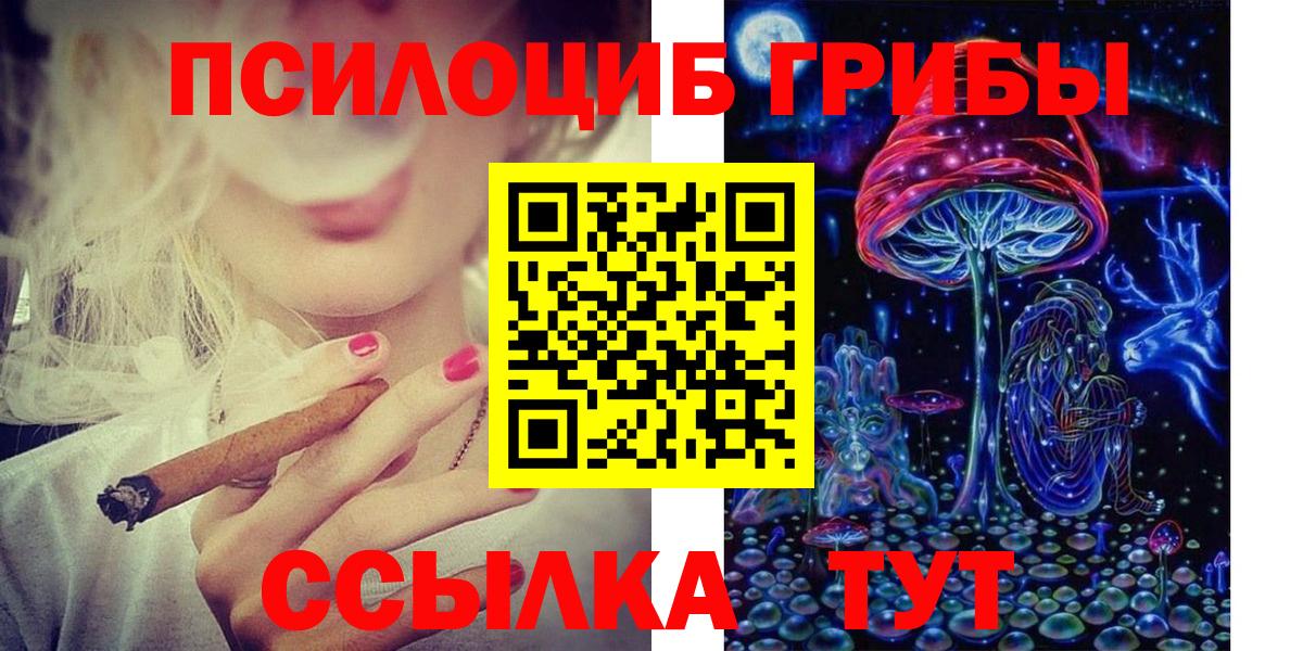 Псилоцибиновые грибы Magic Shrooms Чернушка